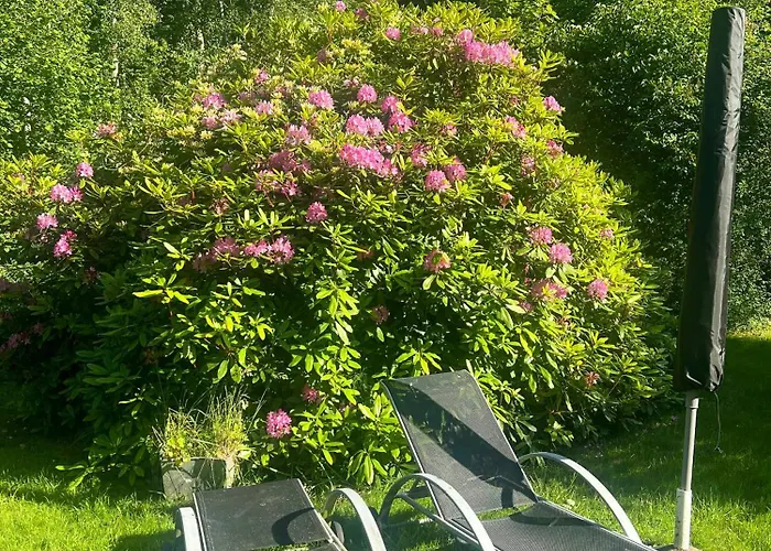 Family Summer House 150 Meters From The *
